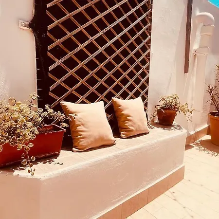 Terrazza Augusteo-open Space With Private Terrace *